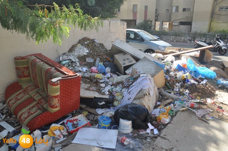 rawda narjes s111 (19).JPG
